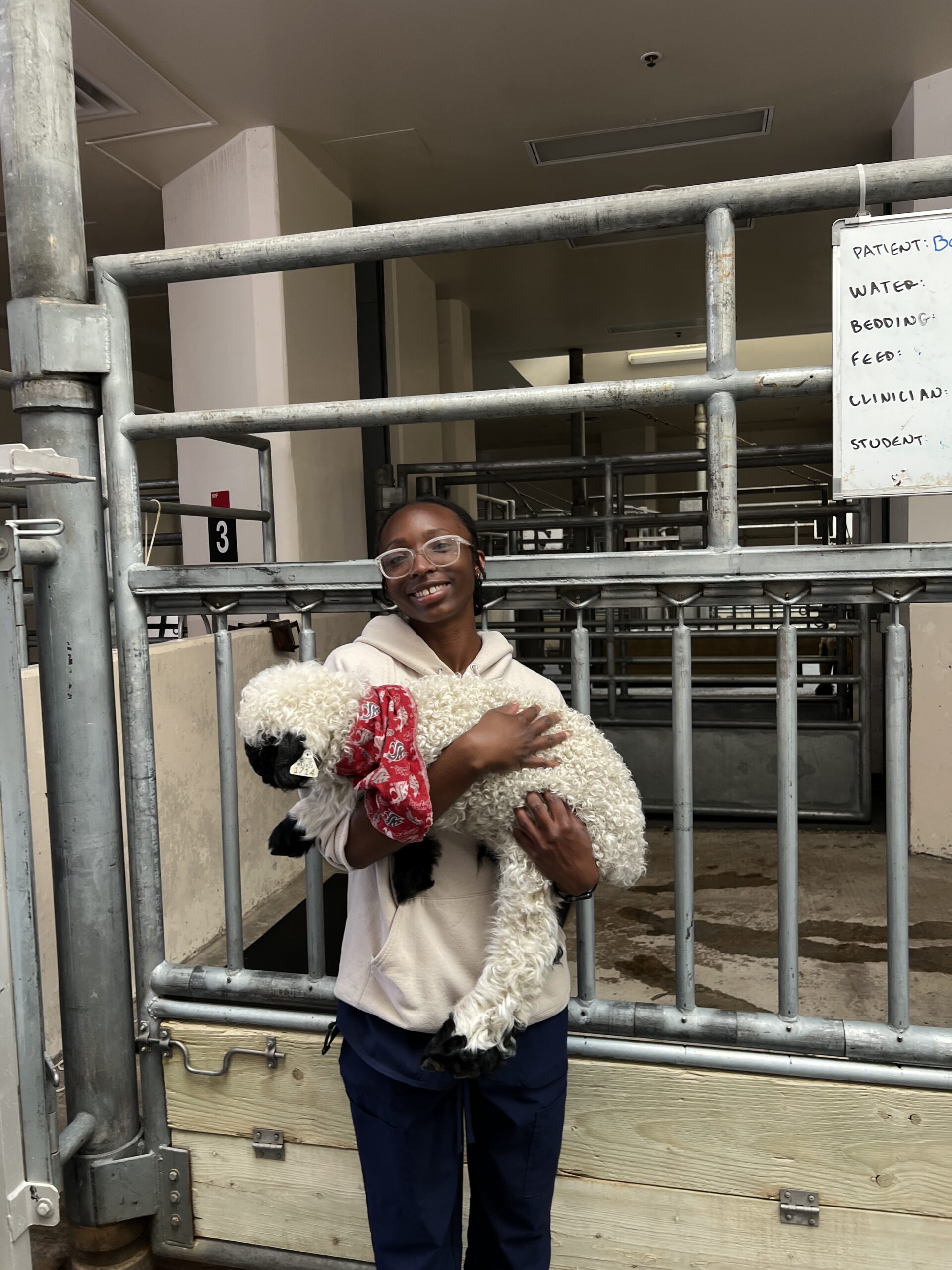 DVM student Janai Johnson stand in front of a stall holding a sheep