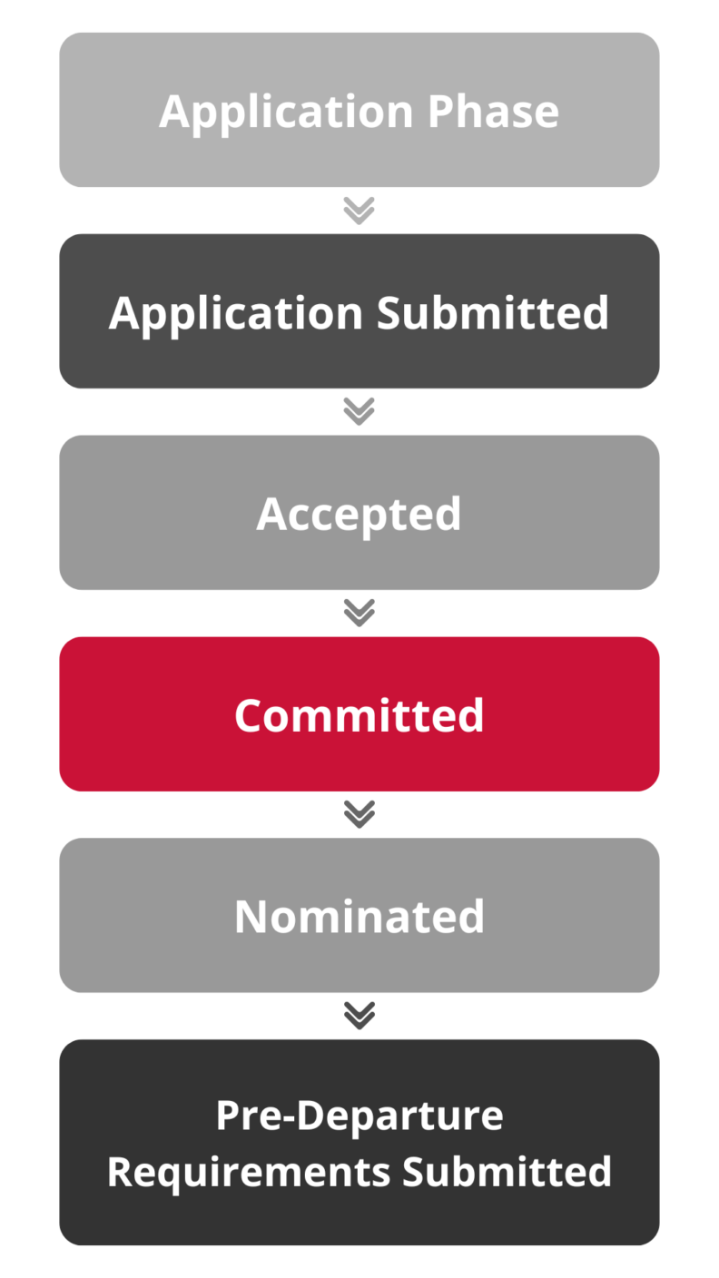 Infographic explaining the exchange application life cycle