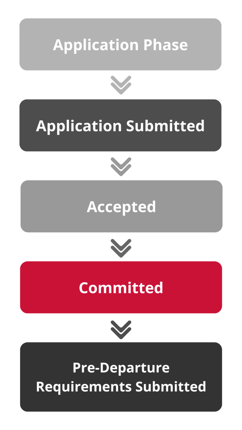 Infographic explaining the faculty-led application life cycle