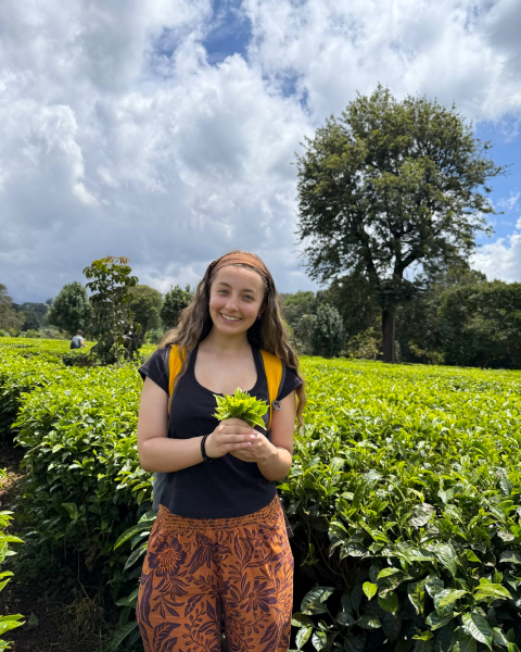 A WSU student holds tea leaves in a Kenyan tea plantation.