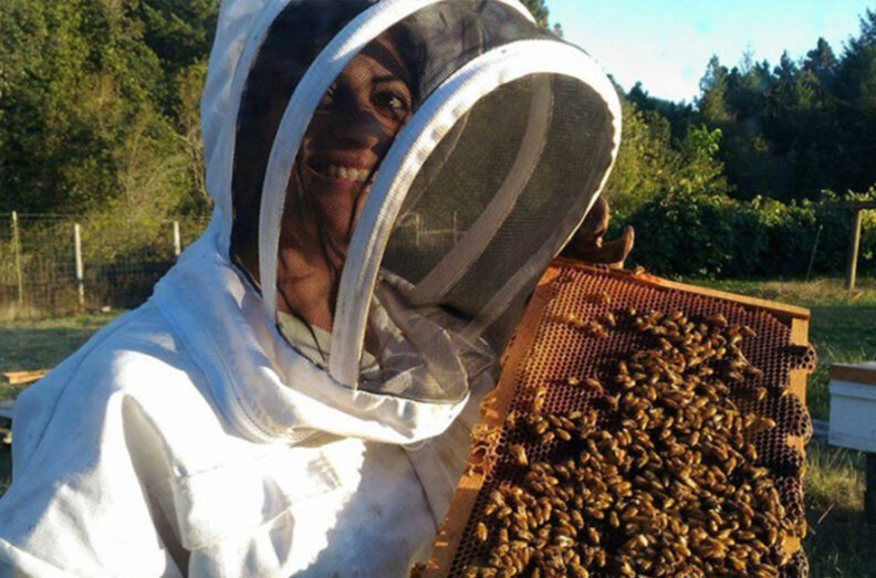 Priya Chakrabarti Basu, assistant professor in the Department of Entomology, wearing a protective beekeeping suit and veil holds a honeycomb frame covered with bees in an outdoor apiary, with trees and fencing in the background.
