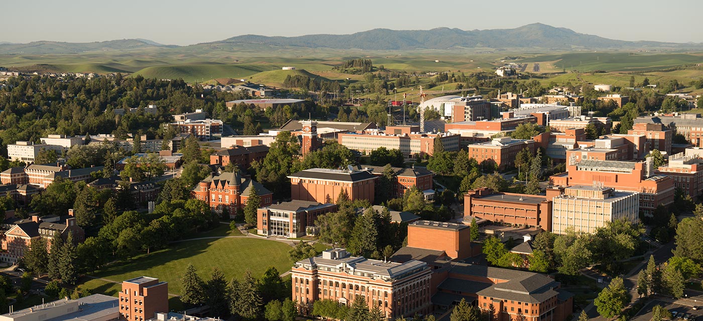 Scenic skyview of the WSU campus looking east.