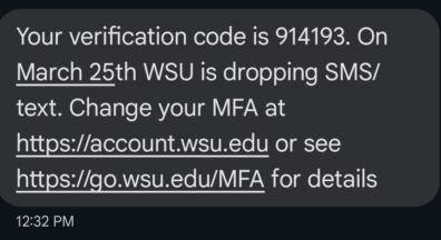 SMS verification code message