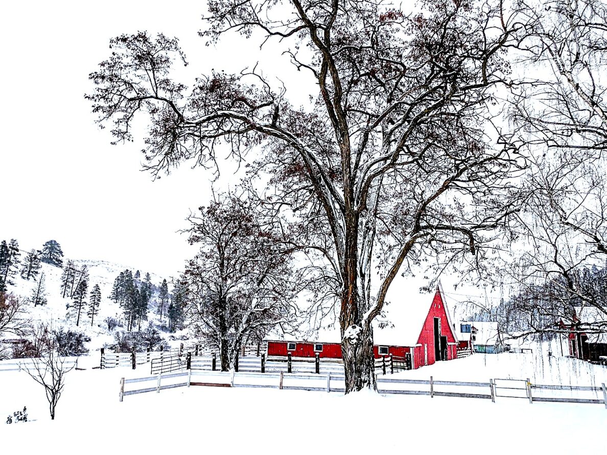 Red barn and white snow