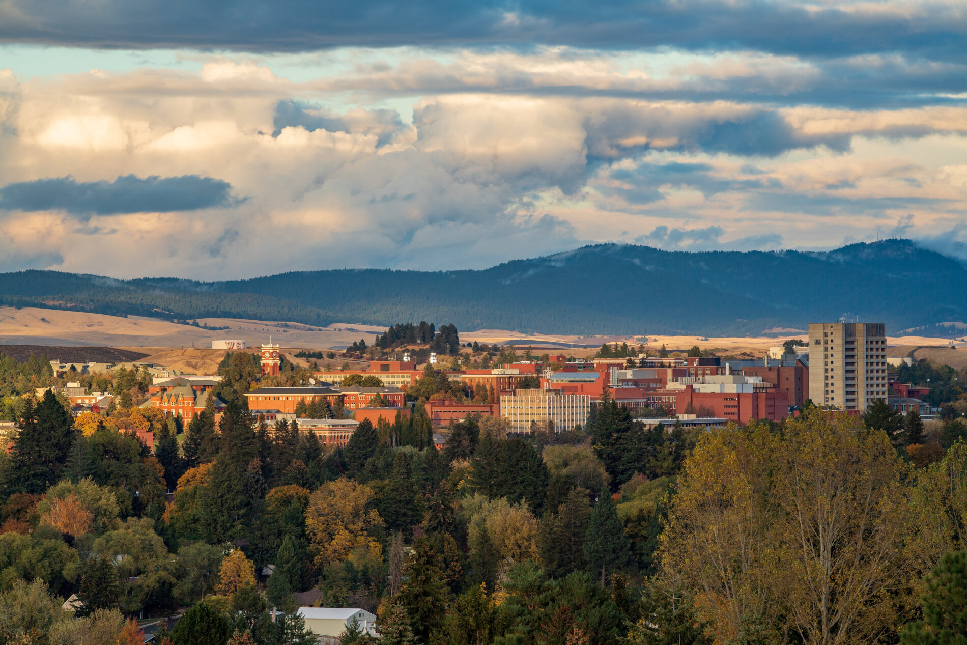 Wide view of the Washington State University Pullman campus surrounded by autumn trees, with rolling hills and storm clouds in the background during sunset.