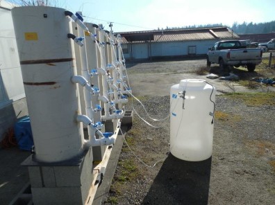 soil_columns_puyallup