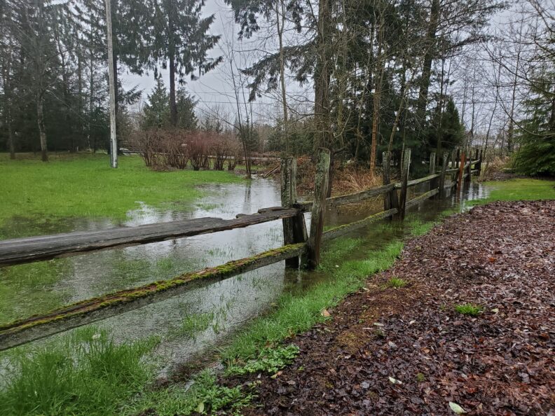 flooded yard with standing water, rustic fence, and trees