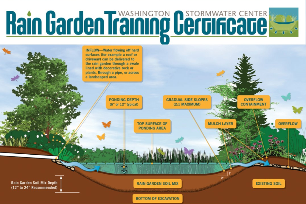 Rain Garden Training Certificate image