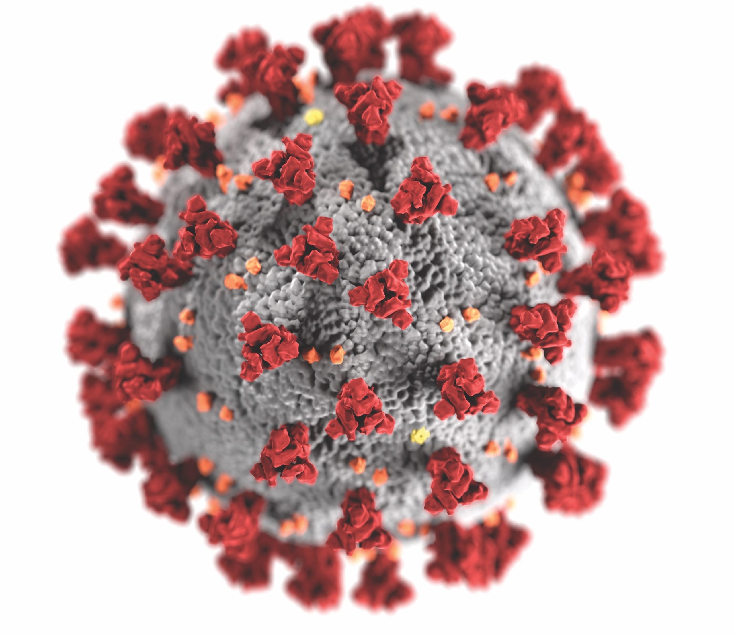 Artist representation of the SARS COVID-19 virus.