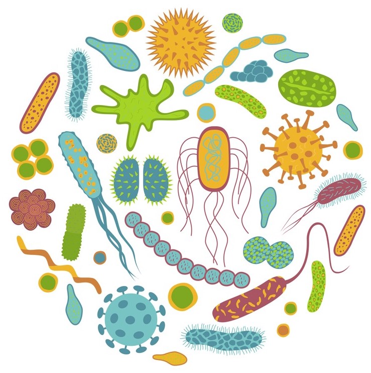 Illustration of various microbes.