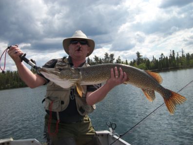 2015 - Northern Pike