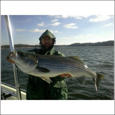 Striped Bass in Georgia while Visiting Emory