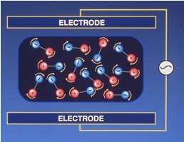 Electrode Diagram