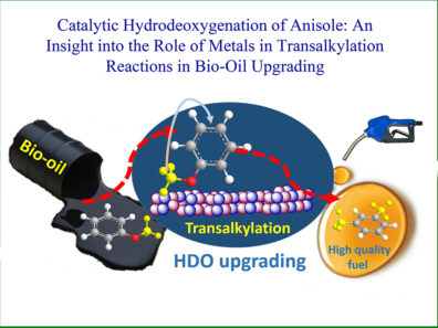 Catalytic Hydrodeoxygenation of Anisole