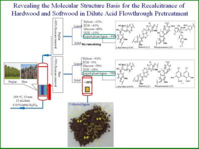 Revealing the Molecular Structure Basis for the Recalcitrance of Hardwood and Softwood in Dilute Acid Flowthrough Pretreatment