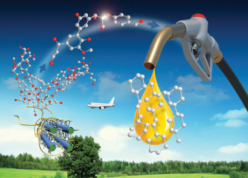 gc017012_obc_publicity