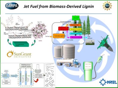 Integrated Production of Cellulosic and Lignin Biofuels