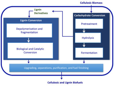 Integrated Production of Cellulosic and Lignin Biofuels