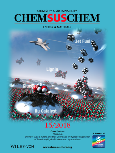CHEM SUS CHEM Cover