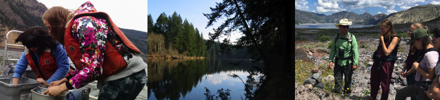 Researchers in the field