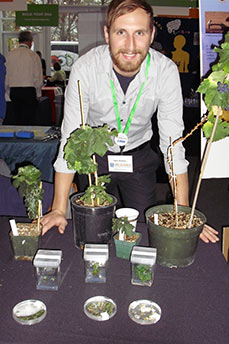 Tyler Armour, a WSU undergraduate and researcher in Amit Dhingra’s genomics lab, explains the life cycle of the grapevine using the dwarf variety, Pixie. Photo courtesy Life Sciences Weekend organizers.