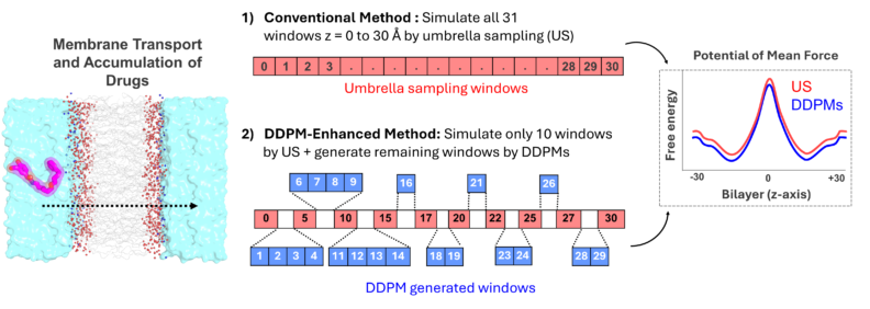 DDPM and membrane partitioning