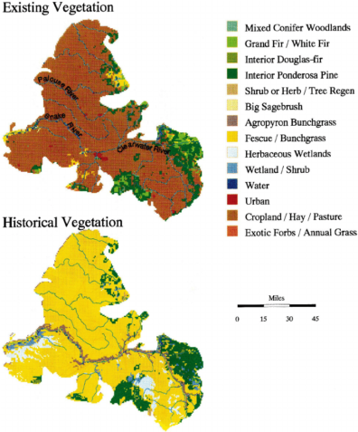Vegetation cover in 1998 compared to pre-colonial vegetation (Black et al. 1998)