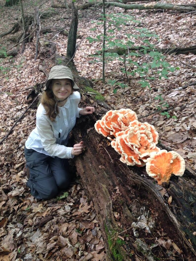 Dr. Tanya Cheeke with Laetiporus sulphureus (Chicken of the Woods) fungi