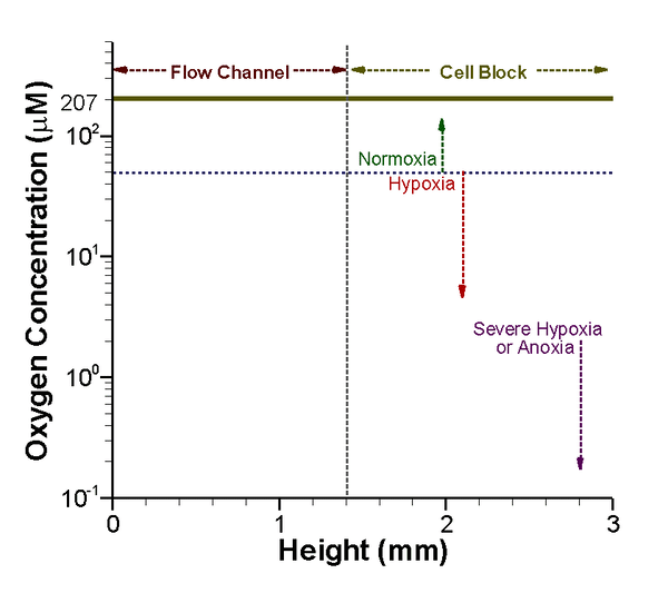 Oxygen evolution with time