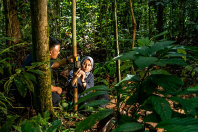 Meidina Fitriani setting camera traps in Indonesia