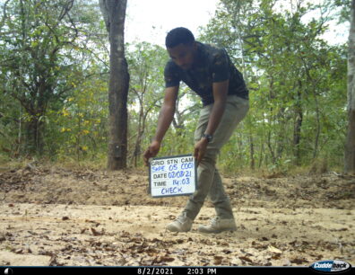 Leo Haule setting cameras