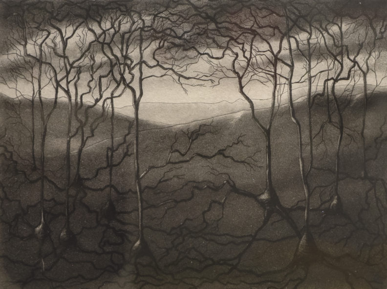 Kindra Crick etching