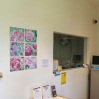 Public Safety flower paintings