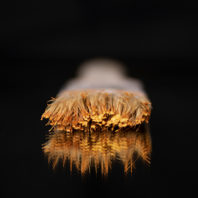 macro photo of paintbrush