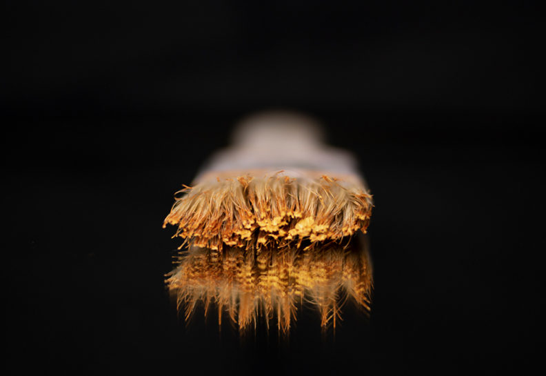 macro photo of paintbrush