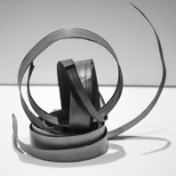 abstract digital photo of coiled plant fibers