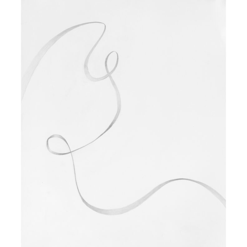 Soft and elegant graphite line.