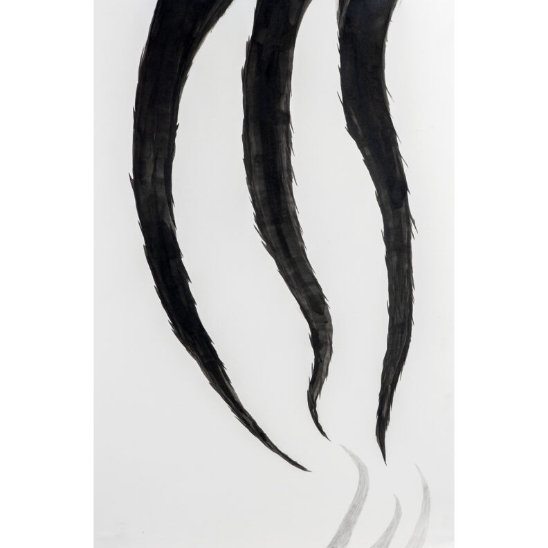 Ominous three-pronged shadow.