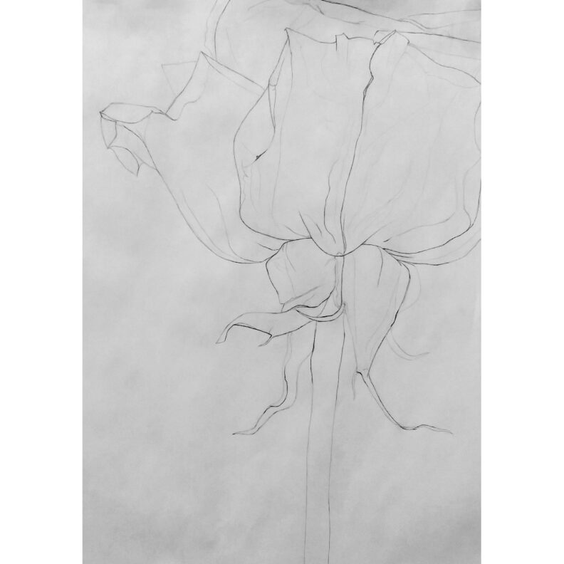 Delicate flower drawing.