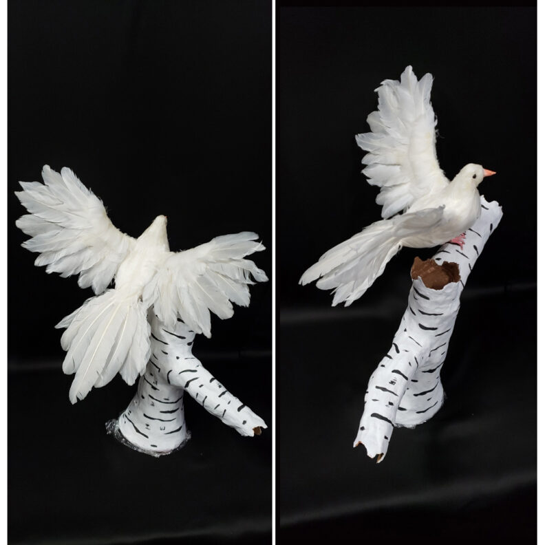 White bird on a branch