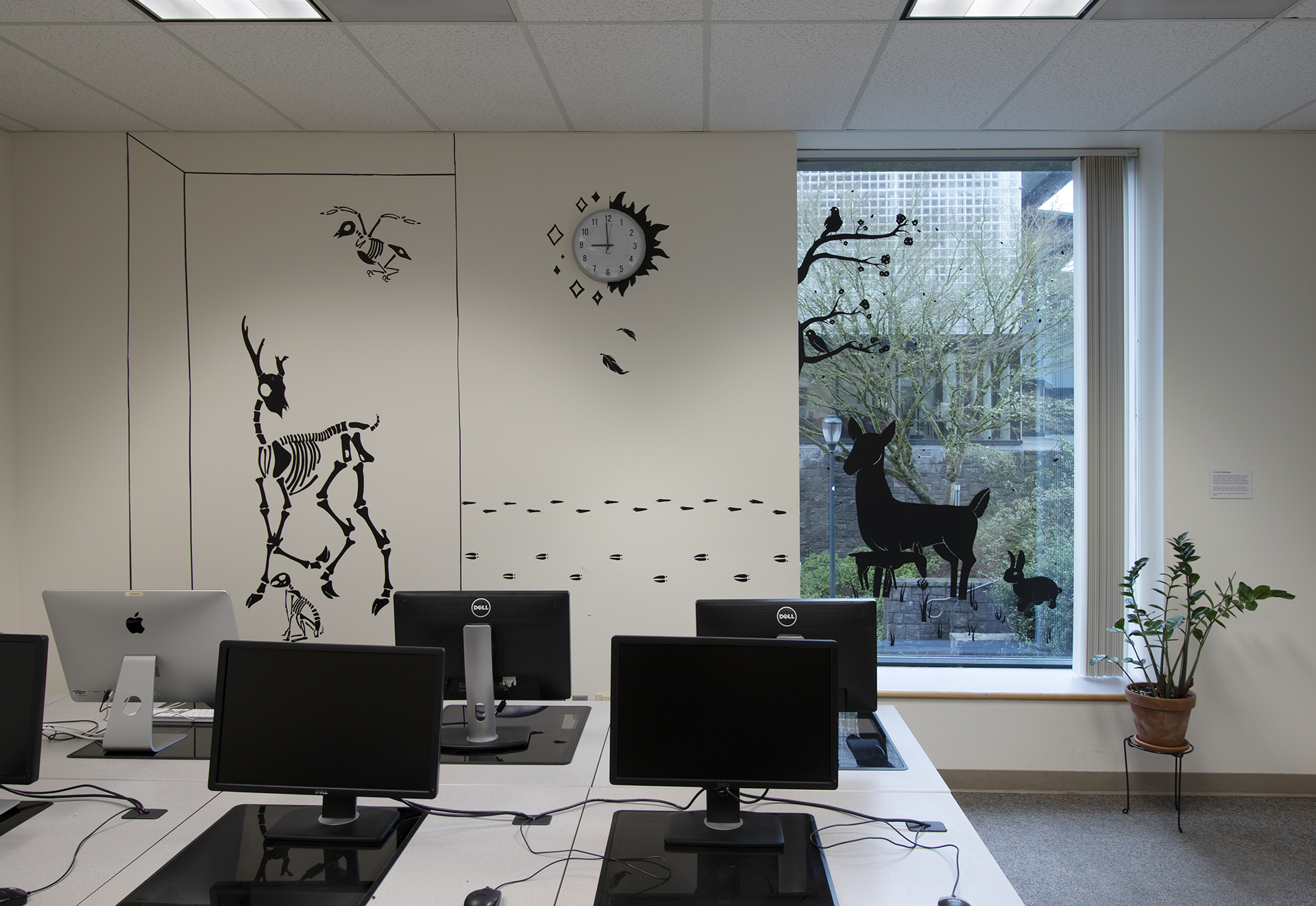 Black 2D artwork on walls and windows in library