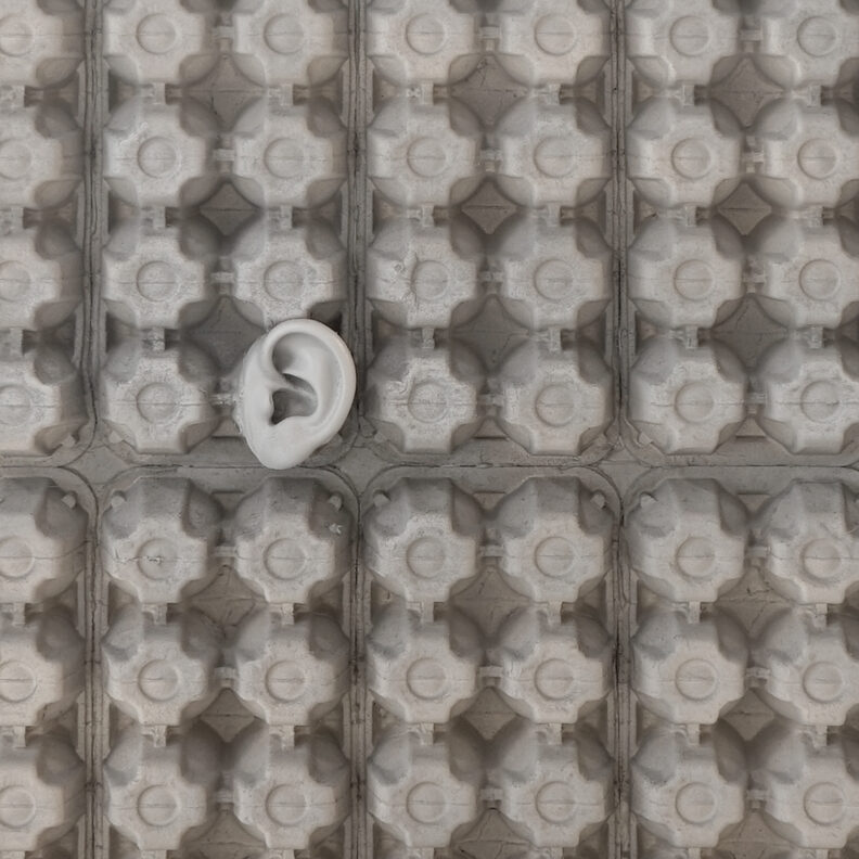 Photograph of Jack Snell-Ryan's work from the exhibition New Earth Anatomy. It's an image of a sculpted ear attached to a row of egg cartons.