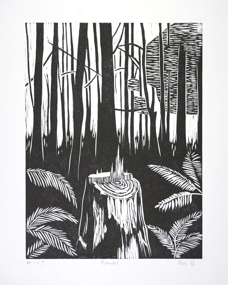 A wooded scene with a central tree stump.