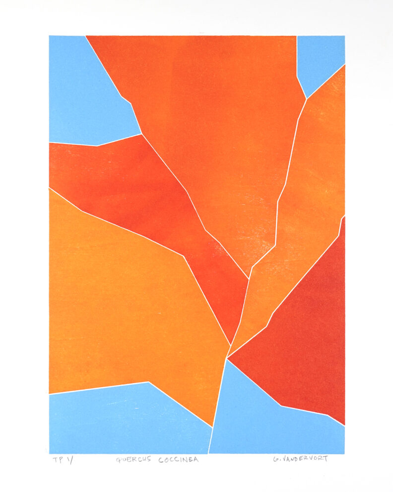 An abstraction of a leaf.