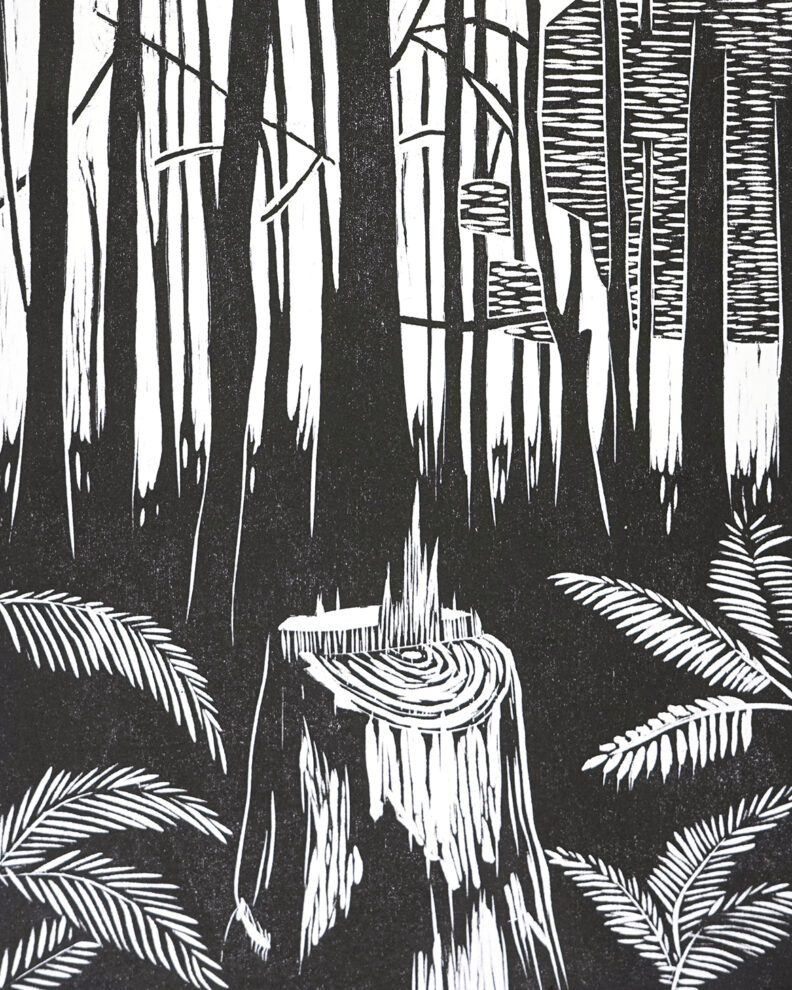 Detail of a woodcut of a tree stump in the forest.