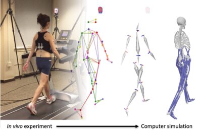transition picture from live human to computer model