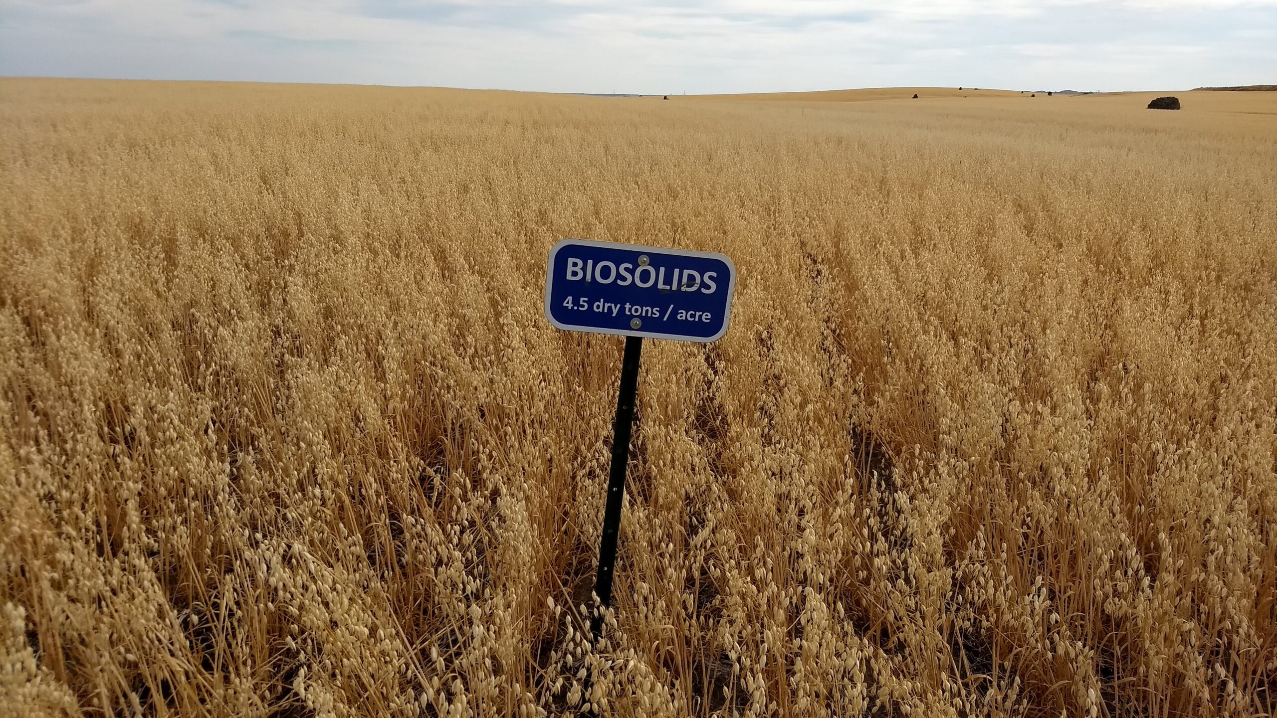 Biosolids Research home.
