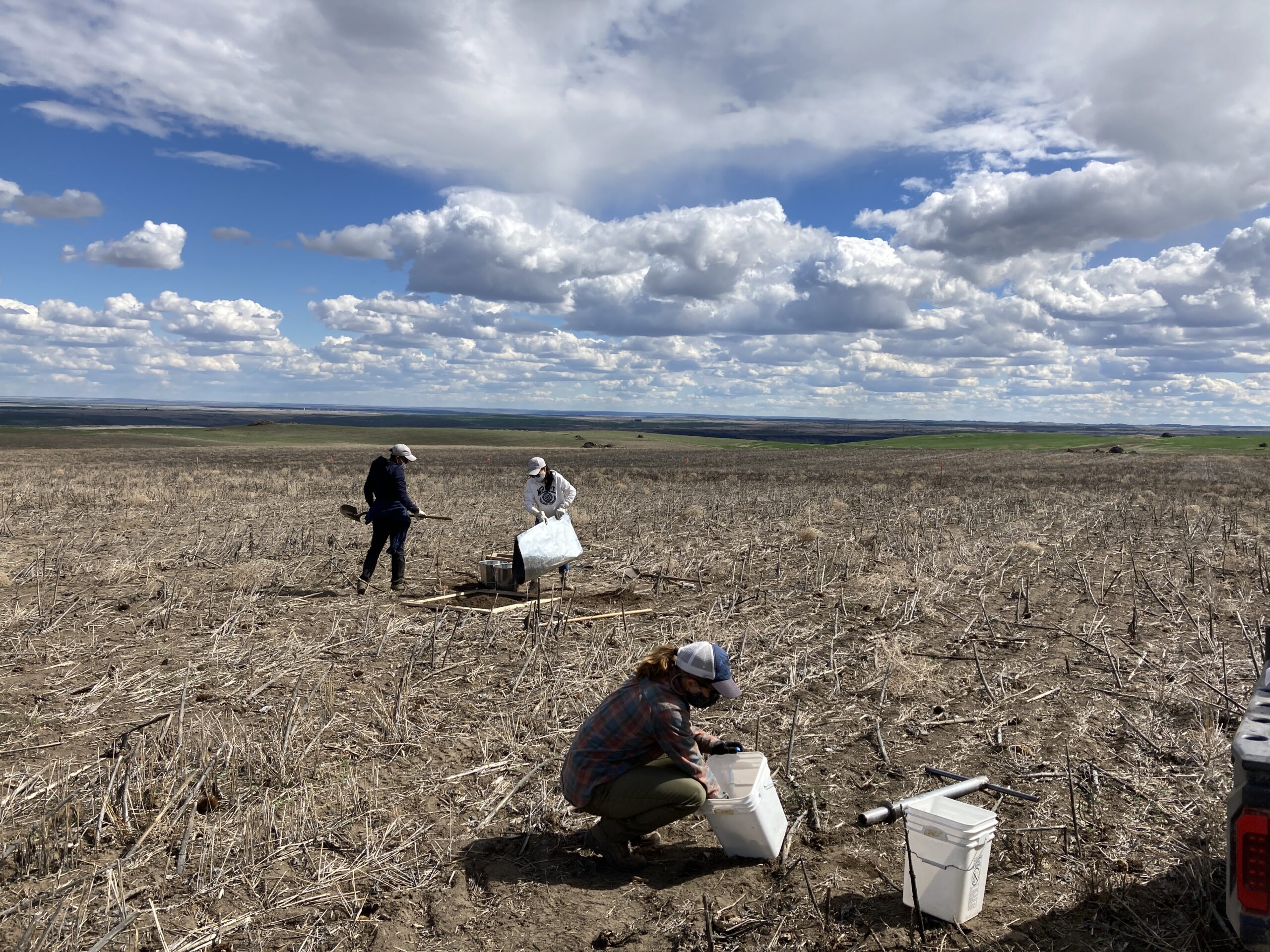 Research team processing soil core samples and setting up biosolid treatments.