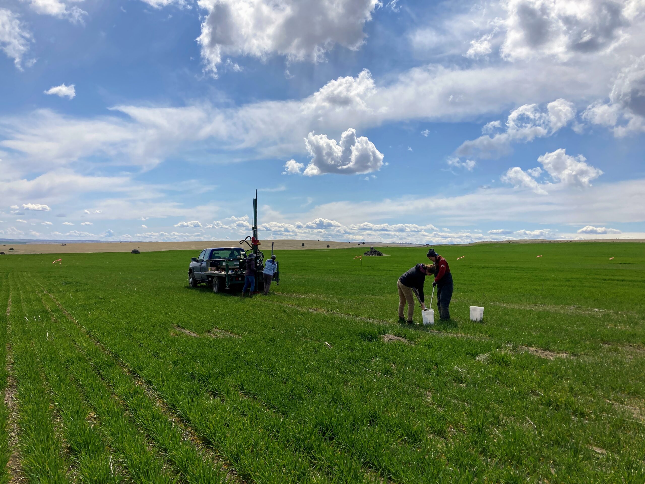 Research team processing soil core samples behind a sampling rig in a field.