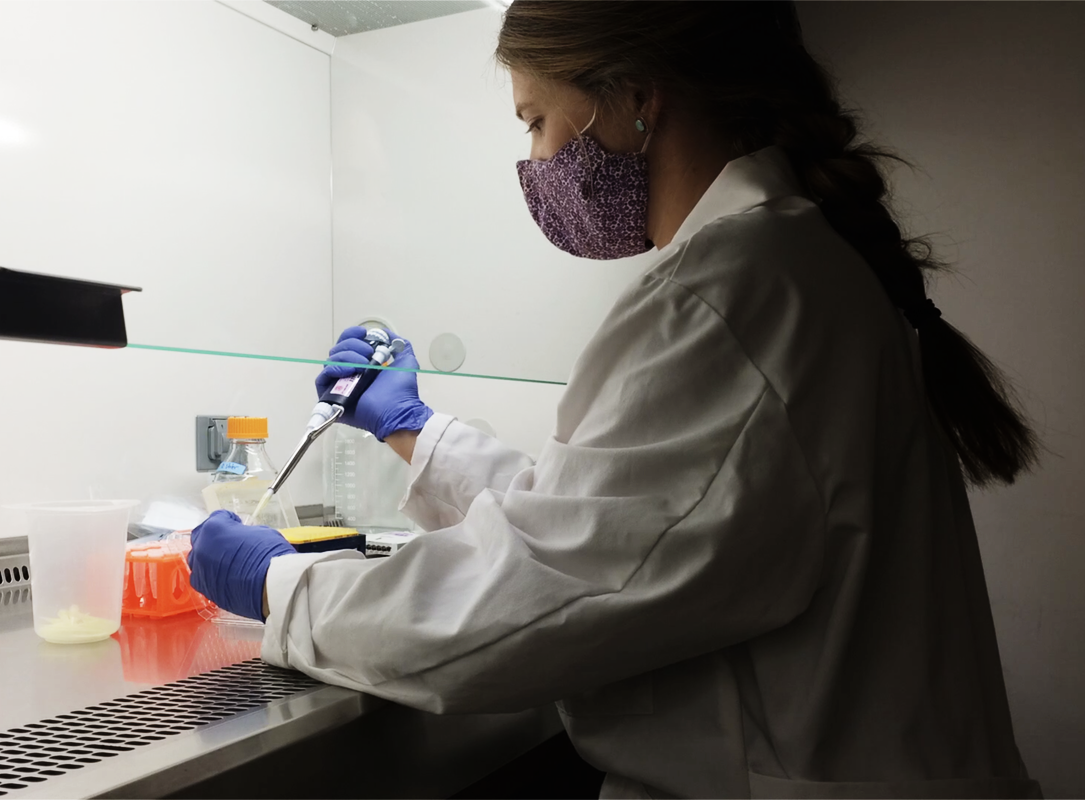 A researcher conducting lab work under a fume hood.